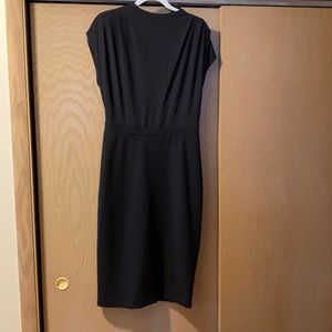 Express fitted dress